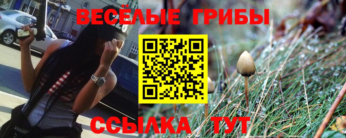 Галлюциногенные грибы Psilocybine cubensis  Псилоцибиновые грибы MAGIC MUSHROOMS  Вход с VPN  Обнинск 