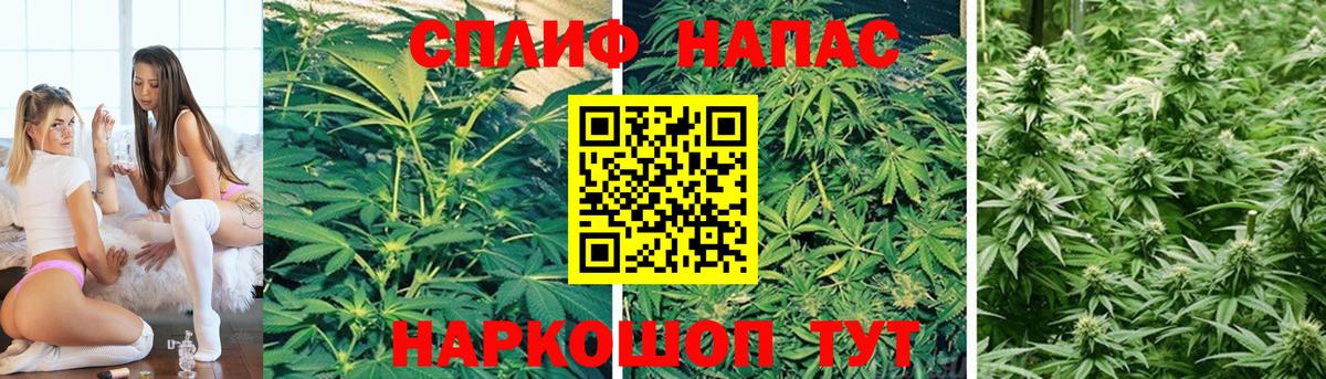 Канабис OG Kush Обнинск